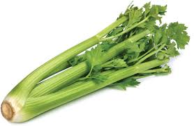 Celery 1 Bunch